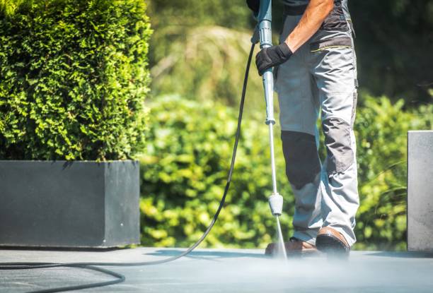 Best Animal Enclosure Cleaning  in Laguna Hills, CA