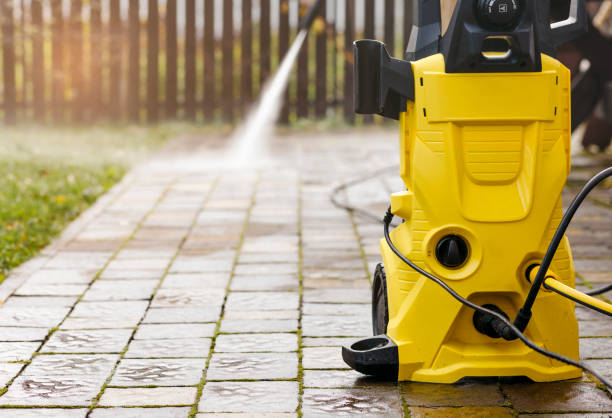 Animal Enclosure Cleaning in Laguna Hills, CA